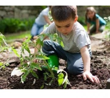 یادگیری فعال تجربی